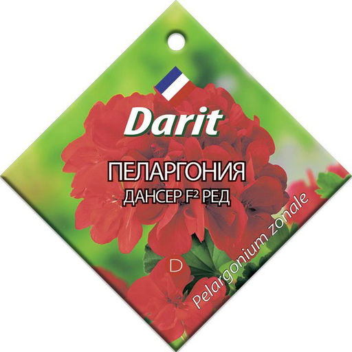 Пеларгония Дансер Ред F2 4шт. (Дарит)