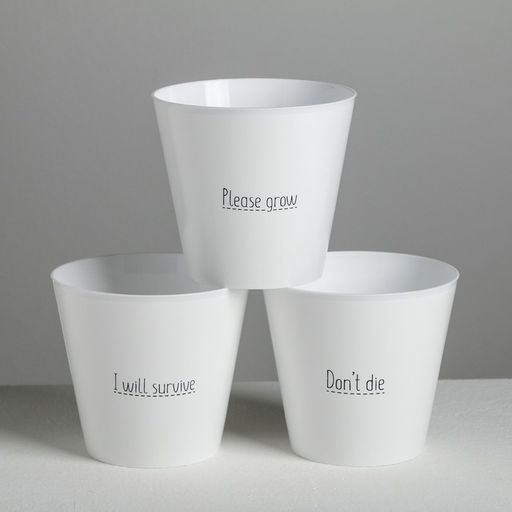 Набор кашпо 3 в 1 Please grow, 0.8 л, 11×12 см