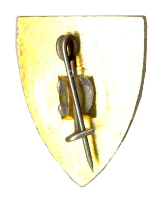 Значок Сочи