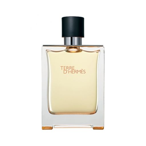 HERMES TERRE DHERMES m EDT 100 ml M