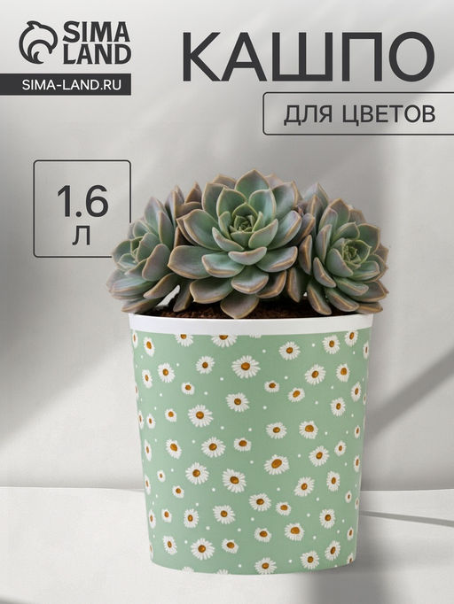 Кашпо для цветов Ромашки, 1.6 л, d=14 см, h=14 см, пластиковое