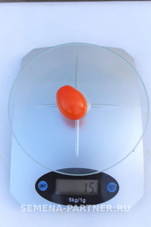 Томат Черри Ля Мур - Партнер фото 4