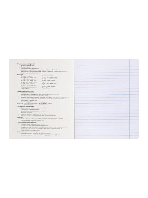 Комплект 12 предметных тетрадей 48 листов, справочная информация, 60 г, Пастель