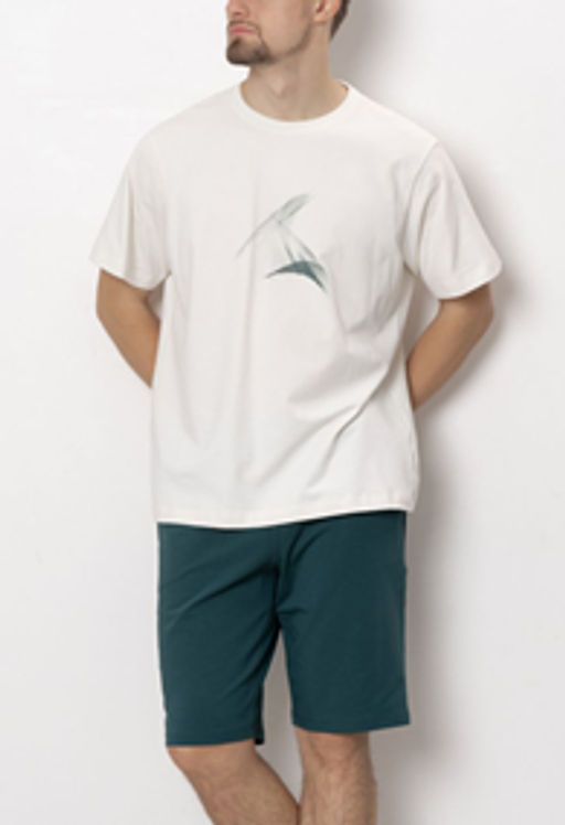 ШОРТЫ МУЖСКИЕ арт. 6523M-45041.4H-718