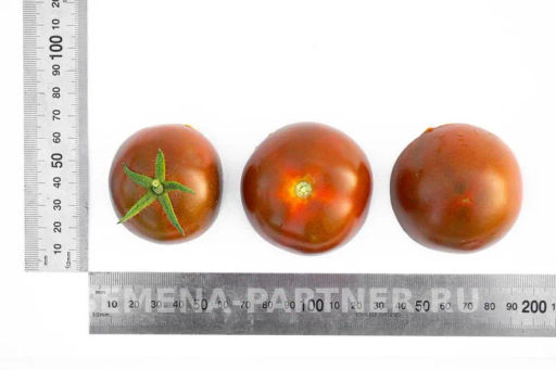 Томат Вендетта - Партнер фото 5