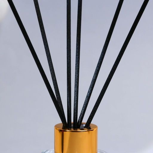 Диффузор ароматический палочки «Новогодняя коллекция: Все мечты сбудутся», аромат жасмин, 50 мл