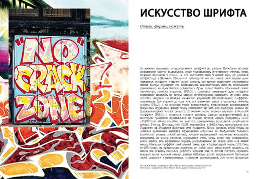 Антология стрит-арта. Даниш М. - Колибри фото 4