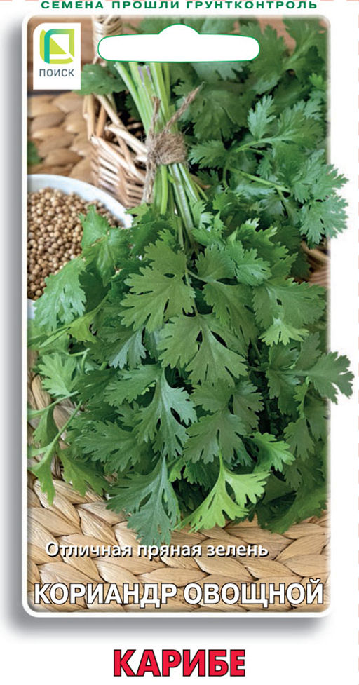 Кориандр овощной Карибе (ЦВ) 3гр - Поиск фото 2