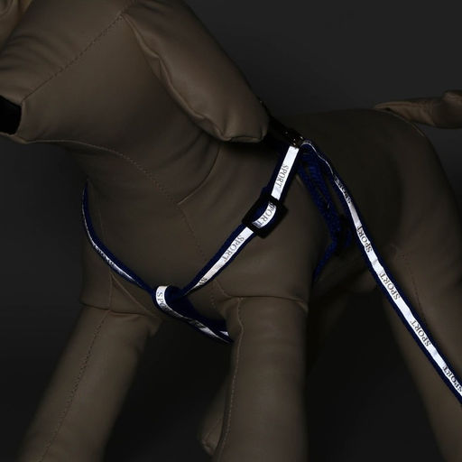 Комплект Спорт светоотражающий, поводок 120 х 1 см, ОГ 23-35 см, синий - Пижон фото 2