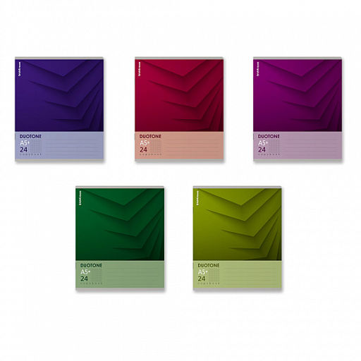 Цена за 10 шт. Тетрадь школьная ученическая ErichKrause Duotone Next ассорти, 24 листа, клетка (в плёнке по 10 штук)_MIX-PACK фото 2