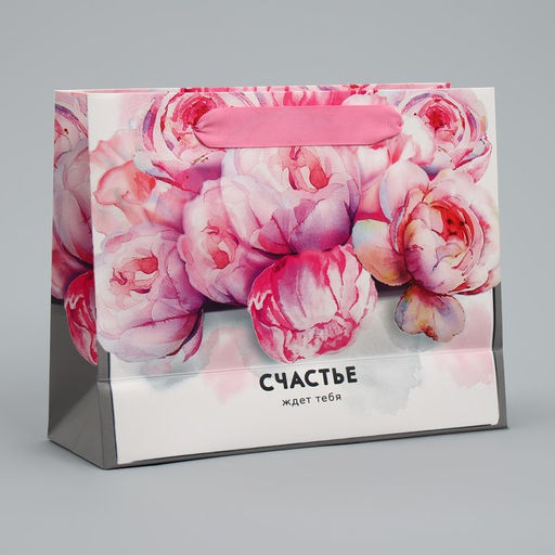 Цена за 2 шт. Пакет подарочный ламинированный, упаковка, Счастье ждёт тебя 22?17.5?8 см