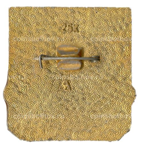 Значок Владимир