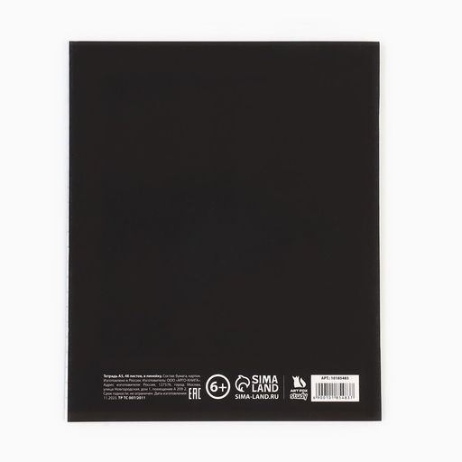 Тетрадь в линейку, предметная, 48 л., на скрепке, А5 «Силуэт. Русский язык»