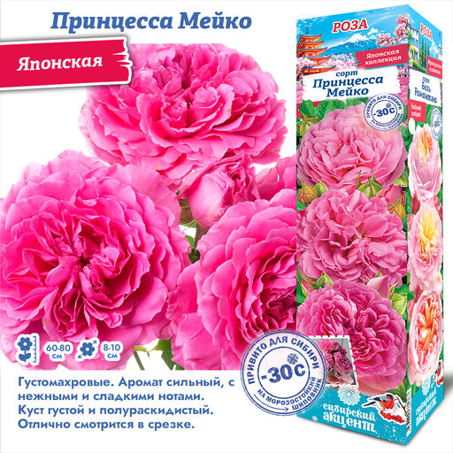 Роза Принцесса Мейко (Японская) 1шт