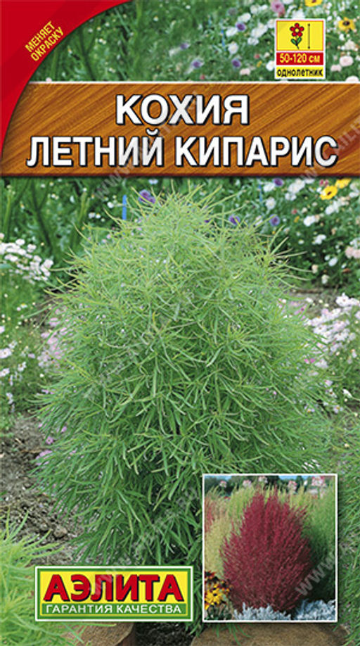 Кохия Летний кипарис 0,3г (Аэлита)