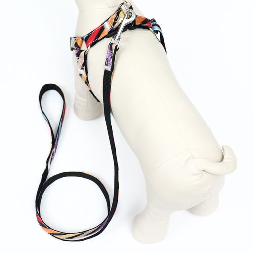 Комплект амуниции двухслойный, размер L, поводок 120 х 2 см, ОШ 31-45 см , ОГ 35-52 см, разноцветный - Пижон фото 3