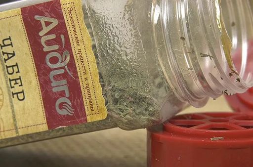 Чабер 35г - Айдиго фото 5