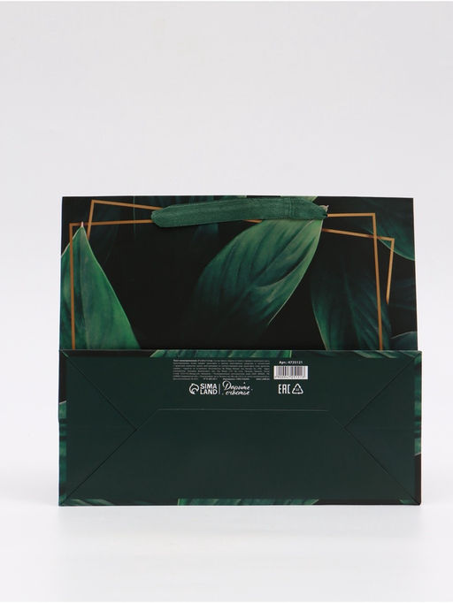 Цена за 2 шт. Пакет подарочный ламинированный, упаковка, Present for you, ML 27?23?11.5 см