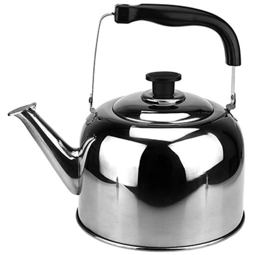 "Ладога" Чайник из нержавеющей стали 6л, д23,5см h20см, со встроенным в крышку свистком, подвижная пластмассовая ручка, цветная коробка (Китай)