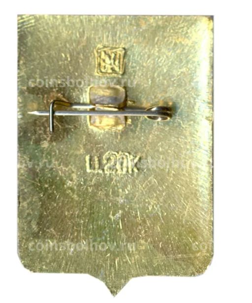 Значок Макарьев