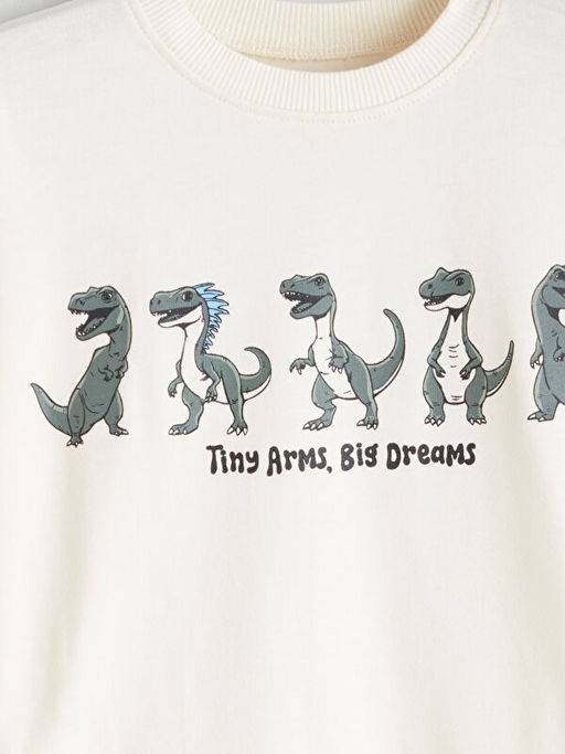 Bisiklet Yaka Dinozor Bask?l? Erkek ?ocuk Sweatshirt