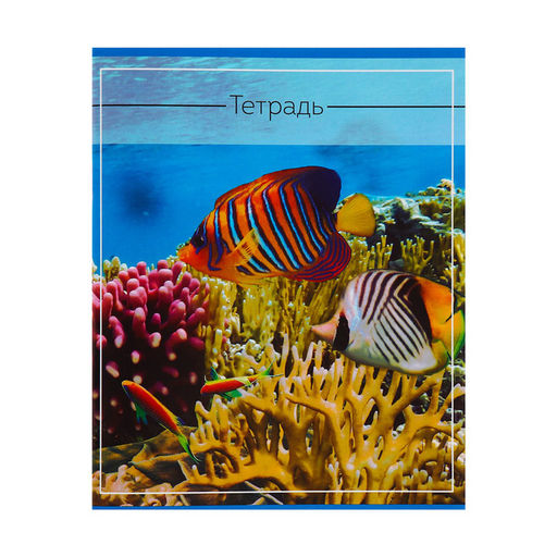 Комплект тетрадей из 5 шт (4 разные + 1 повторяющаяся МИКС), 36 листов, клетка, Океан, обложка мелованная бумага, блок №2, белизна 75% (серые листы) - Calligrata фото 4