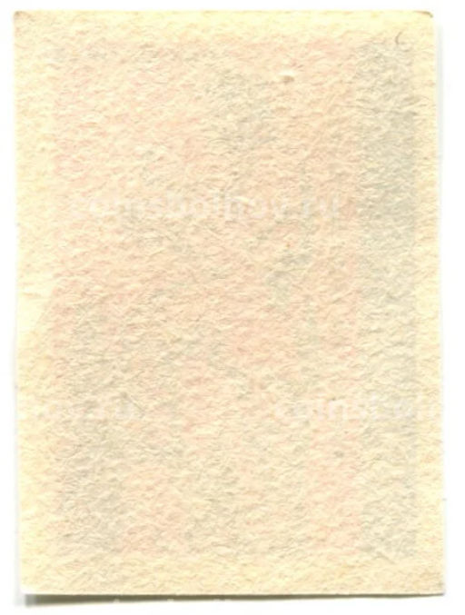 Этикетка спичечная Родословная спички № 7 фабрика Красная звезда