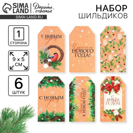 Цена за 4 шт. Шильдик новогодний декоративный в наборе «Время чудес», 6 шт., 9×5 см