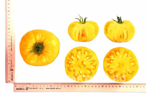 Томат Прелесть Роузы - Партнер фото 6