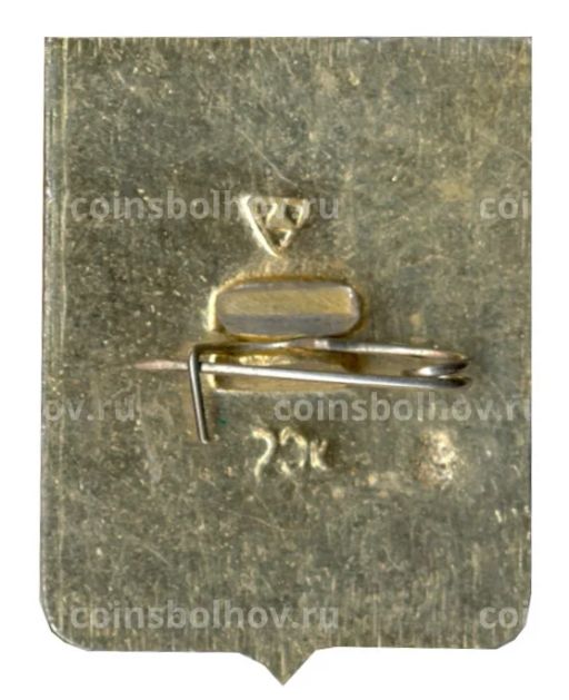 Значок Судогда