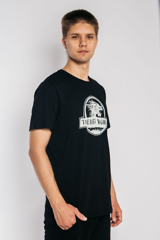 Футболка мужская 54212