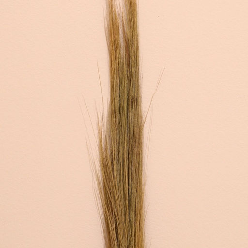 Сухоцвет натуральный, набор, 120 см