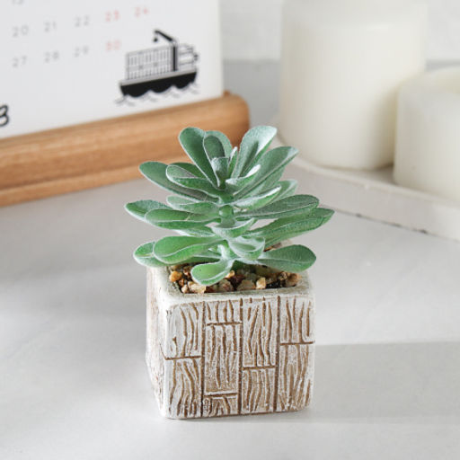 Цветочная композиция Кактус / WER-15 /уп 12/288/ микс - Галеонтрейд фото 5