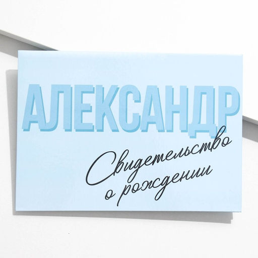 Папка для свидетельства о рождении Александр, А5