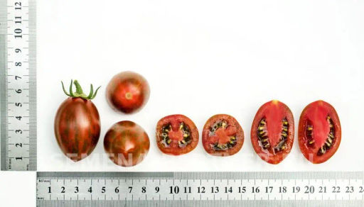 Томат Черри Миднайт - Партнер фото 5