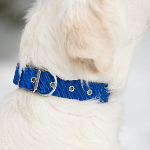 Ошейник клепаный, 48,5 х 3 см, ОШ 31-40 см, полиэстер, синий - Пижон фото 7