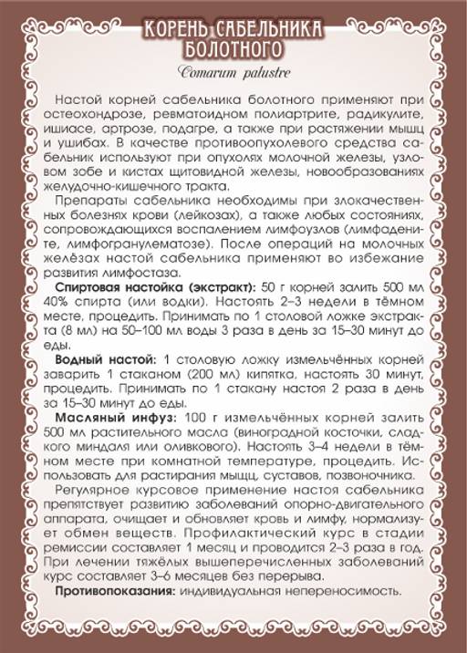 2 шт. Сабельник болотный (корень)