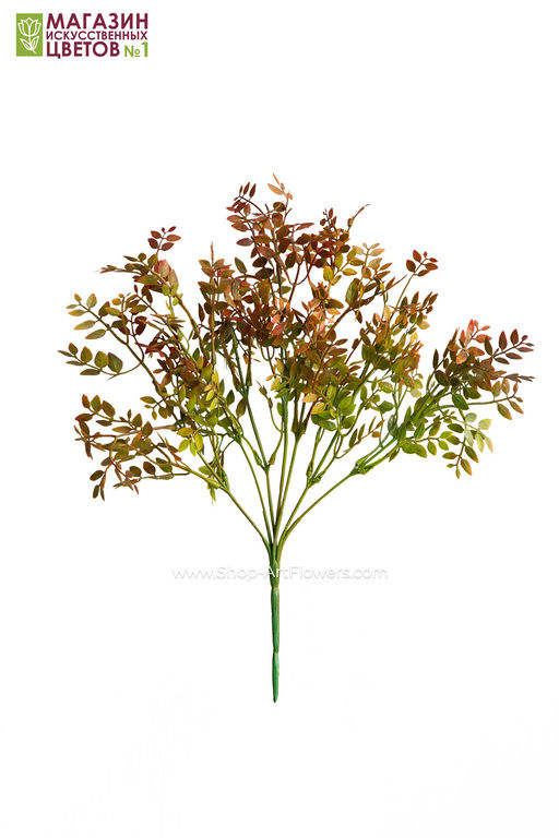 103 Листья фисташки, куст - Без тм фото 12