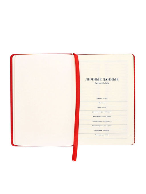 Ежедневник НЕдатированный А5, 136 листов в линейку, кожзам Небраска, золотой срез, красный - Calligrata фото 5