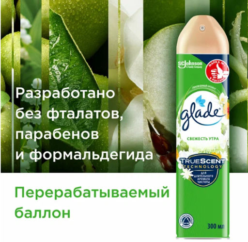 ГЛЕЙД освежитель-аэрозоль 300мл Свежесть утра