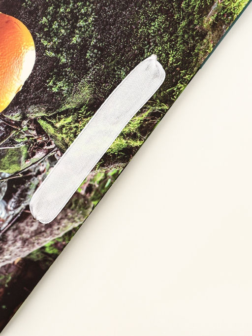 Пакет подарочный вертикальный «Капибара», 23×27×11.5 см