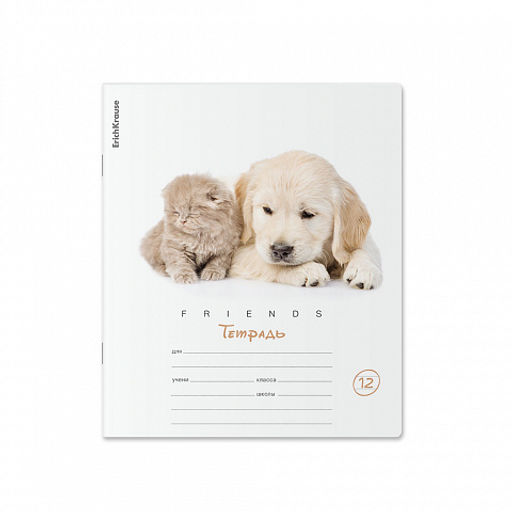 Цена за 280 шт. Тетрадь школьная ученическая ErichKrause Дружба, 12 листов, линейка (в плёнке по 10 шт.)  фото 15