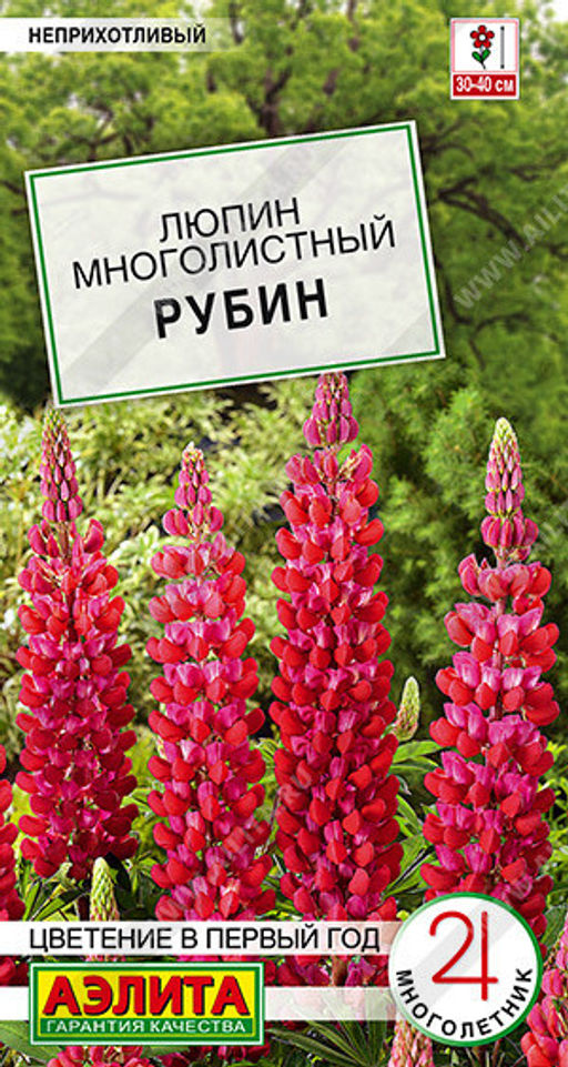 1593A Люпин Рубин 7шт