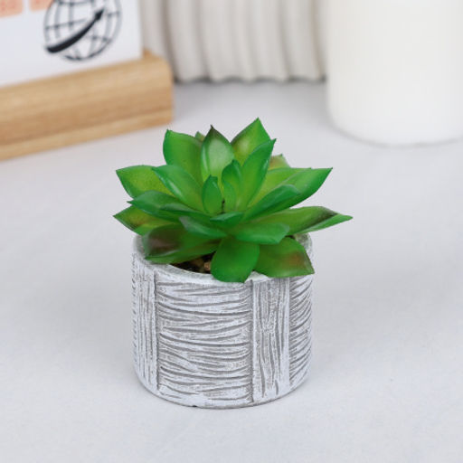 Цветочная композиция Кактус / WER-22 /уп 12/192/ микс - Галеонтрейд фото 16