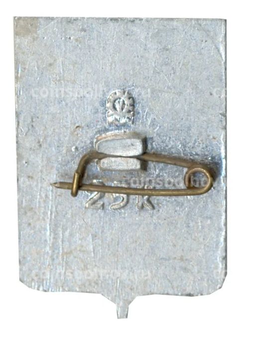 Значок Новосибирск