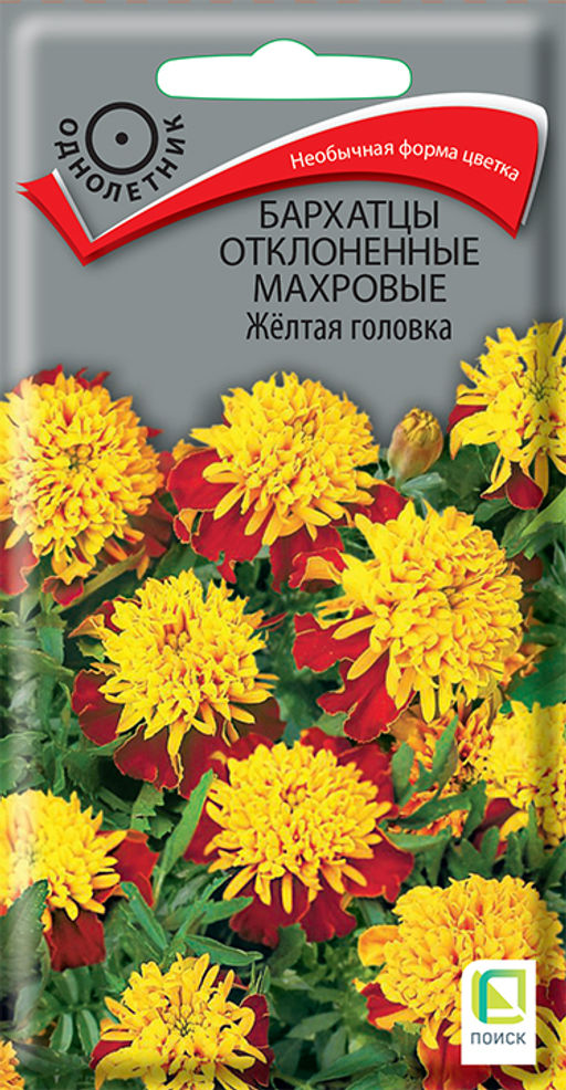 Бархатцы отклоненные махровые (Тагетес отклонённый) Жёлтая головка ( ЦВ) (1) 0,4гр. - Поиск фото 2