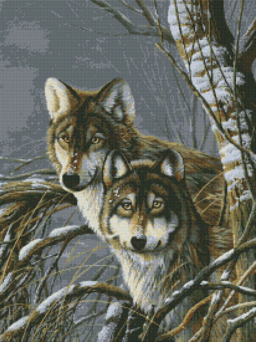 Вышивка крестиком 40х50см, Два волка