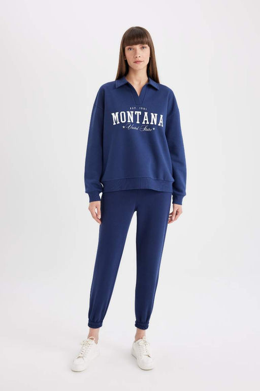 Толстая повседневная толстовка с принтом и вырезом поло Relax Fit - Defacto фото 2