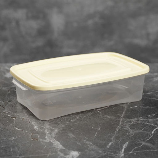 Цена за 2 шт. Контейнер пищевой Полимербыт «Каскад», 700 мл, пластик, прозрачный, крышка МИКС