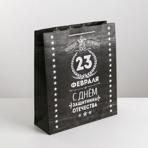 Цена за 2 шт. Пакет подарочный ламинированный, упаковка, С 23 февраля, MS 18?23?10 см